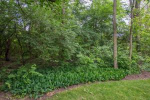 4831 Calloway Ct, Dublin, OH 43017 photo 45