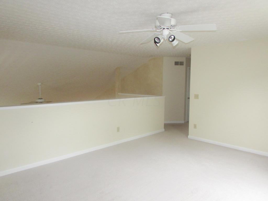 8512 Libra Rd, Dublin, OH 43016 photo 19