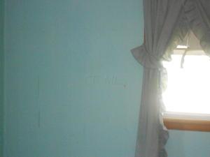 548 E Mound St, Circleville, OH 43113 photo 5