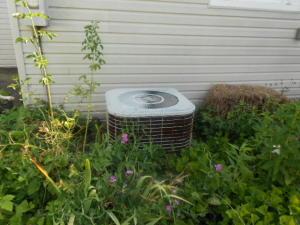 548 E Mound St, Circleville, OH 43113 photo 9
