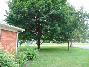 1620 Winding Rd, Circleville, OH 43113 photo 15