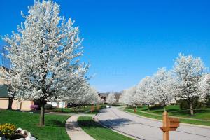 8615 Springflower Rd, Pickerington, OH 43147 photo 47