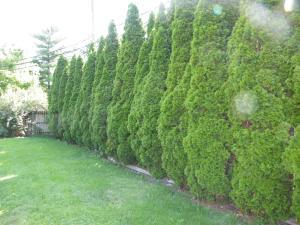 2599 Lipton Rd, Columbus, OH 43232 photo 25