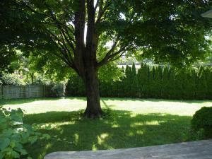 2599 Lipton Rd, Columbus, OH 43232 photo 21