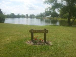 12720 Cleo Dr, Orient, OH 43146 photo 33