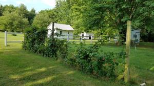 220 W Main St, Waldo, OH 43356 photo 7