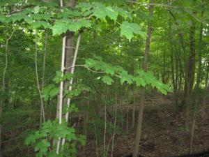 12894 Middlefork Rd, Amanda, OH 43102 photo 45