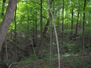 12894 Middlefork Rd, Amanda, OH 43102 photo 35