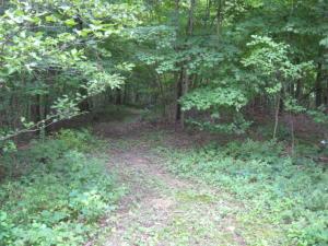12894 Middlefork Rd, Amanda, OH 43102 photo 44