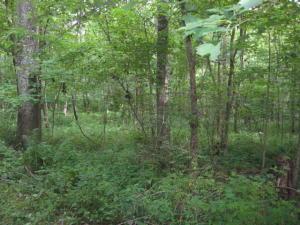 12894 Middlefork Rd, Amanda, OH 43102 photo 40