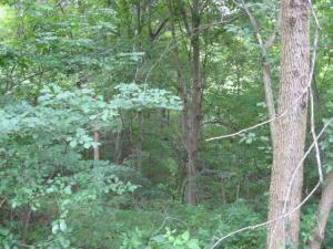 12894 Middlefork Rd, Amanda, OH 43102 photo 46