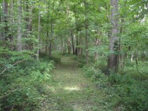 12894 Middlefork Rd, Amanda, OH 43102 photo 39