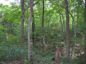 12894 Middlefork Rd, Amanda, OH 43102 photo 34