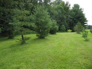12894 Middlefork Rd, Amanda, OH 43102 photo 36
