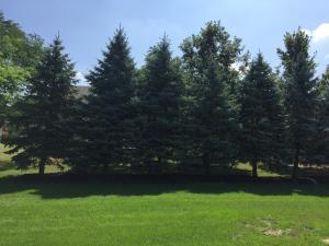 7840 Calvert Ct, Dublin, OH 43016 photo 9