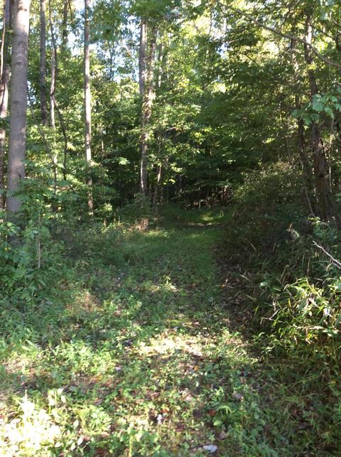 9470 Larimer Rd, Logan, OH 43138 photo 9