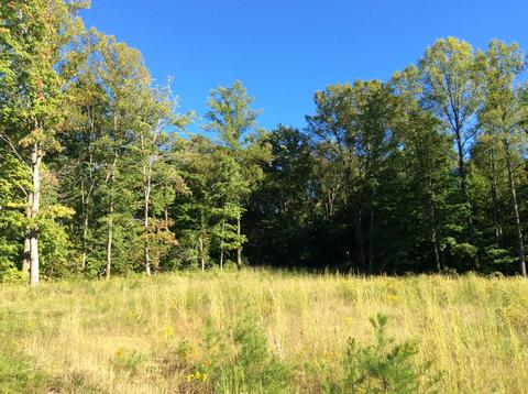 9470 Larimer Rd, Logan, OH 43138 photo 3