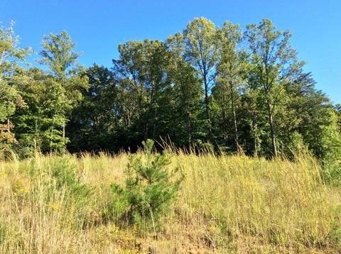 9470 Larimer Rd, Logan, OH 43138 photo 2