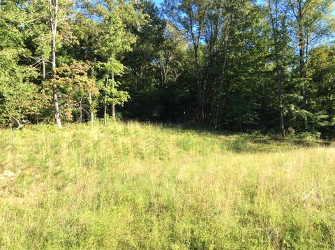 9470 Larimer Rd, Logan, OH 43138 photo 5