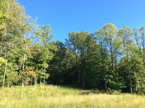 9470 Larimer Rd, Logan, OH 43138 photo 15