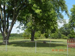599 Mowrer Rd, Circleville, OH 43113 photo 5