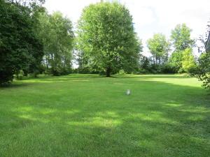 2935 Courtright Rd, Columbus, OH 43232 photo 4