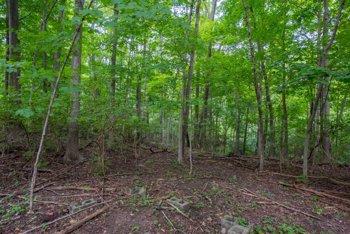 5880 Beechview Dr E, Worthington, OH 43085 photo 55