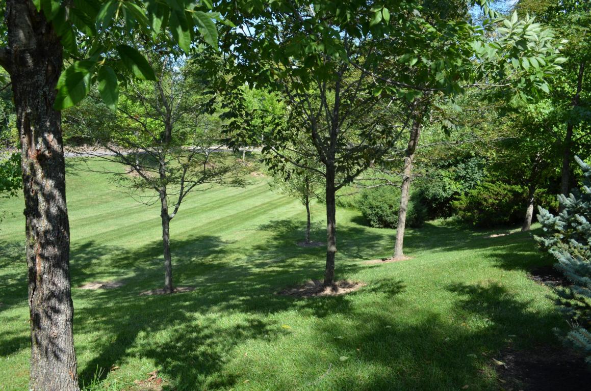 7801 Holiston Ct, Dublin, OH 43016 photo 40