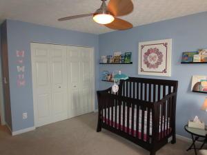 8791 Greylag Loop, Blacklick, OH 43004 photo 30
