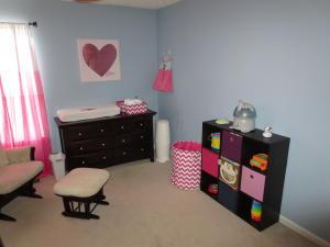 8791 Greylag Loop, Blacklick, OH 43004 photo 29