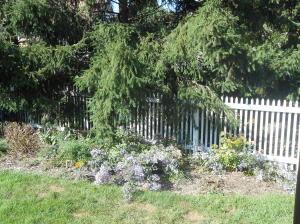 443 Brookhaven Pl, Circleville, OH 43113 photo 43