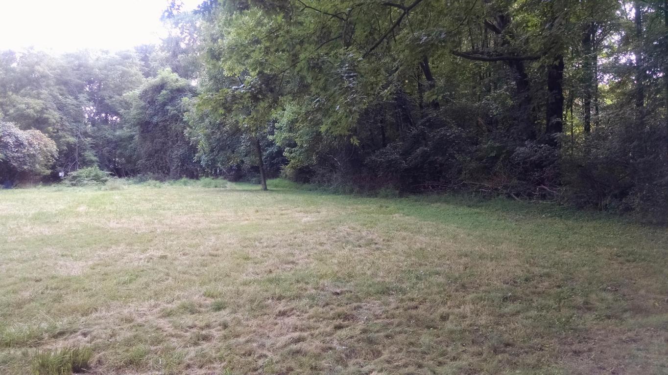 199 E Wilson Bridge Rd, Worthington, OH 43085 photo 5