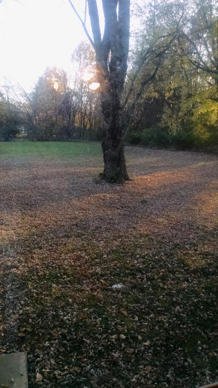 199 E Wilson Bridge Rd, Worthington, OH 43085 photo 4