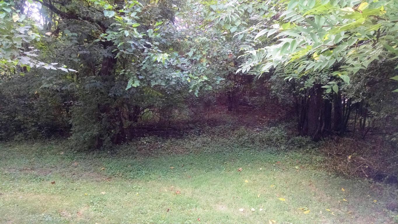 199 E Wilson Bridge Rd, Worthington, OH 43085 photo 6
