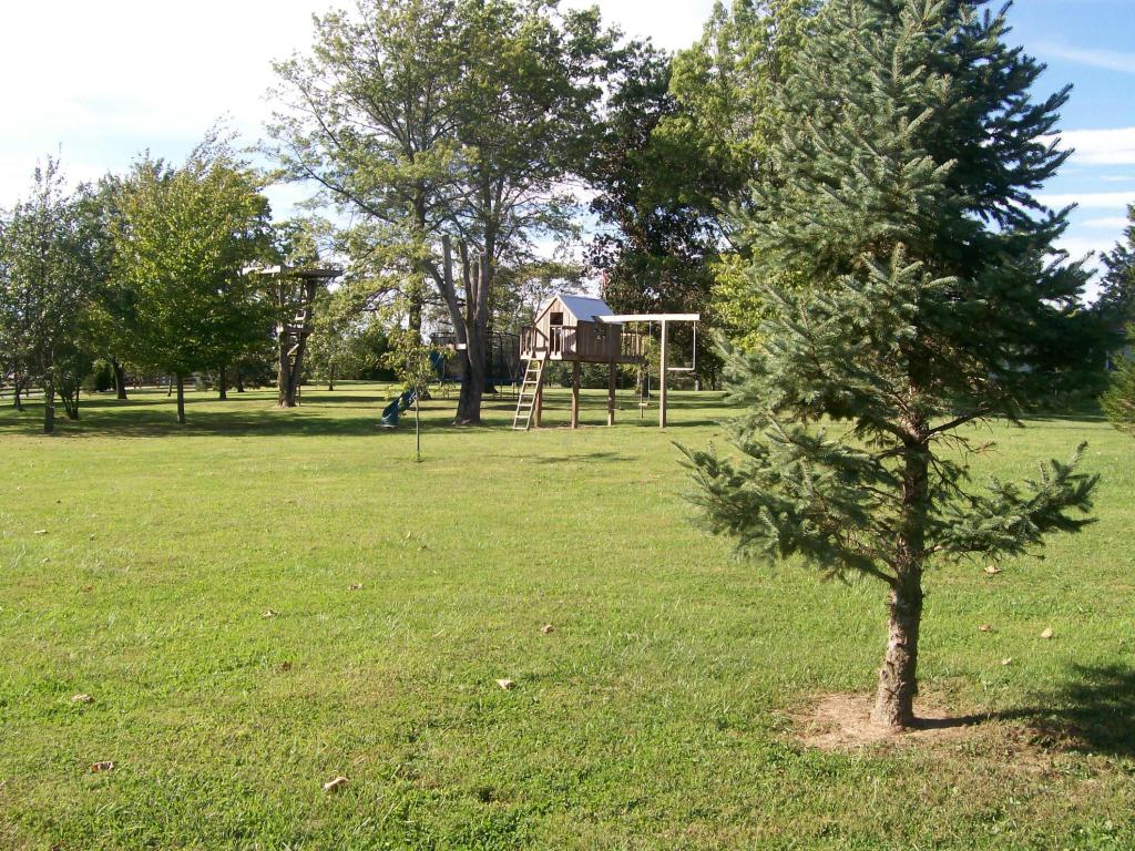 9936 Scioto Darby Rd, Orient, OH 43146 photo 32