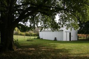 207 W Main St, Waldo, OH 43356 photo 13