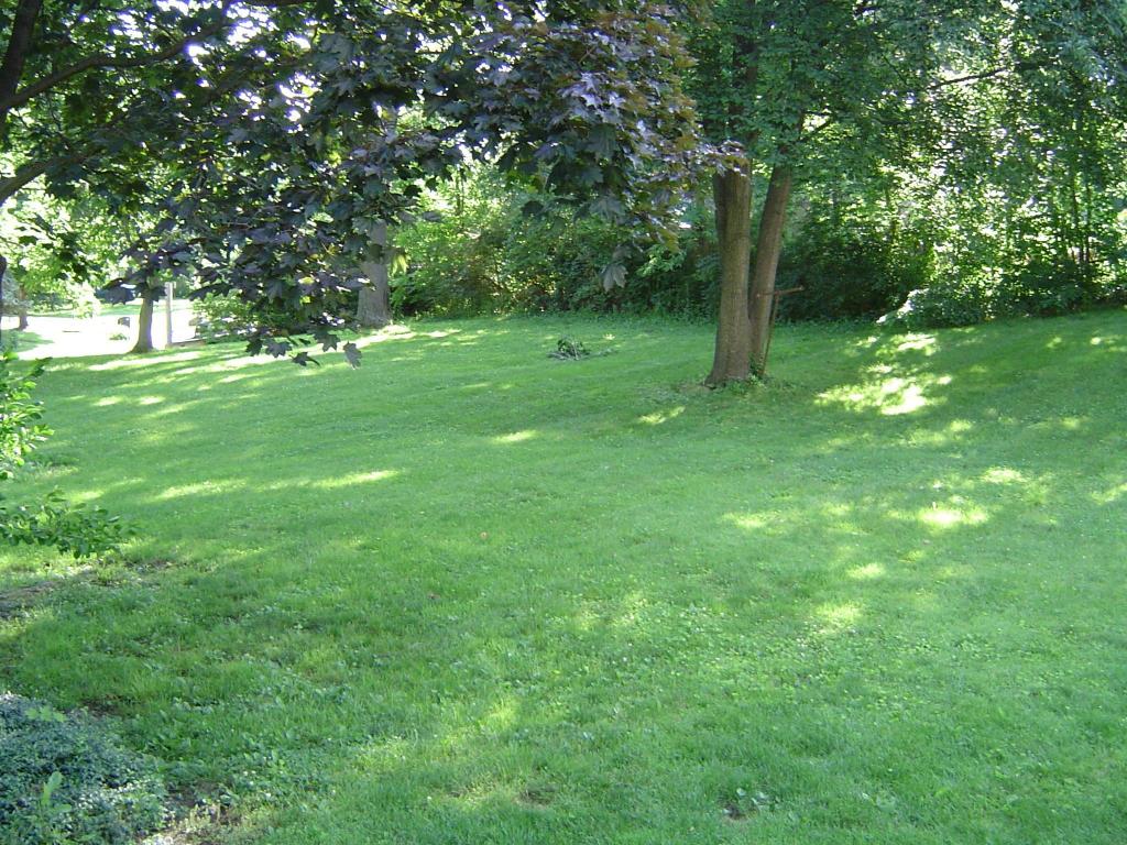 131 Park Pl, Circleville, OH 43113 photo 16