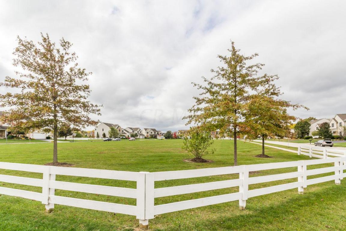 4768 Chimera Loop, Galena, OH 43021 photo 38