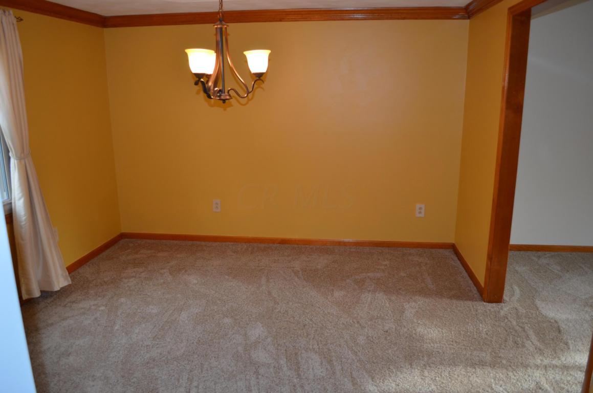 4916 Dunkerrin Ct, Dublin, OH 43017 photo 8