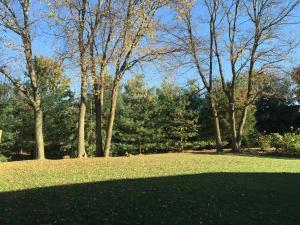 555 Douglas Dr, Circleville, OH 43113 photo 34