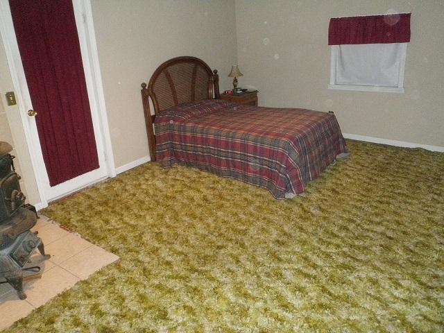 1165 Bennett St, Marion, OH 43302 photo 8