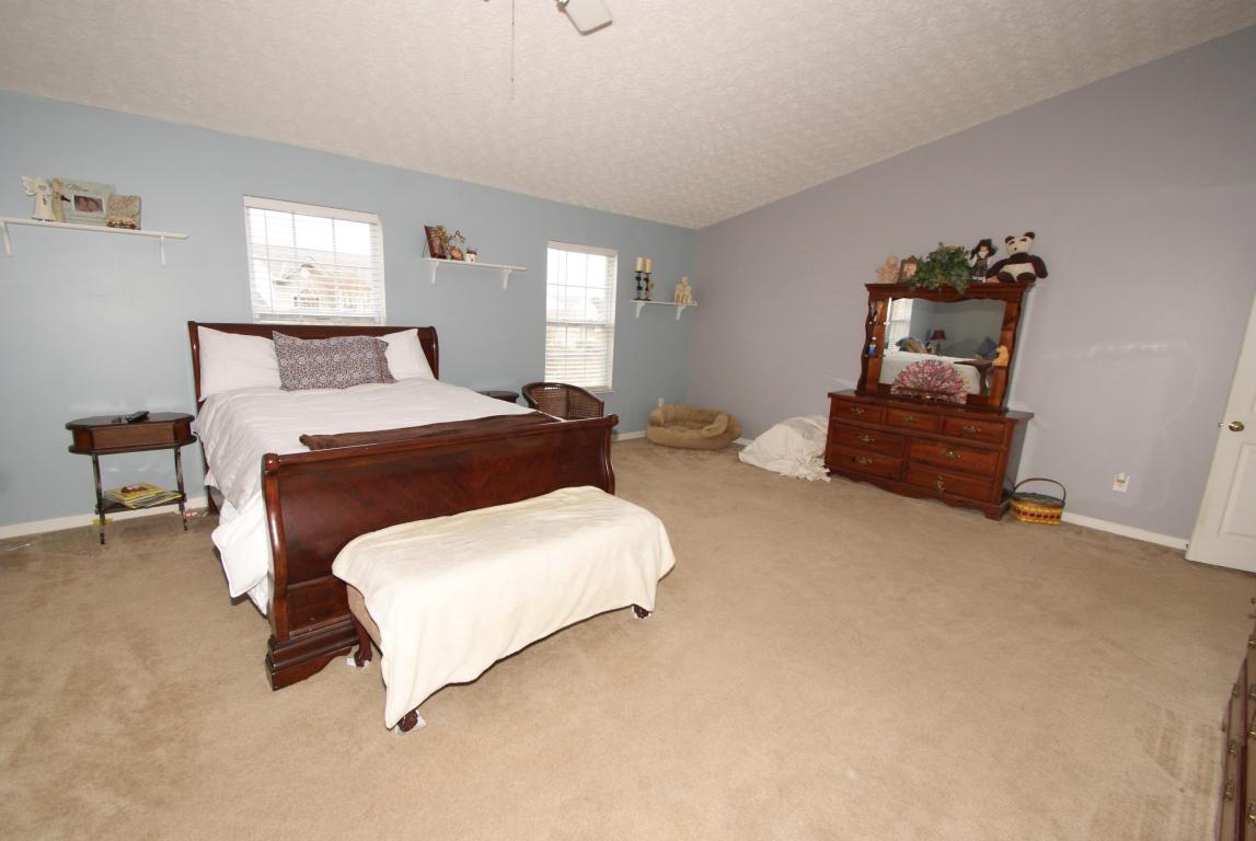 263 Heathermere Loop, Galena, OH 43021 photo 11