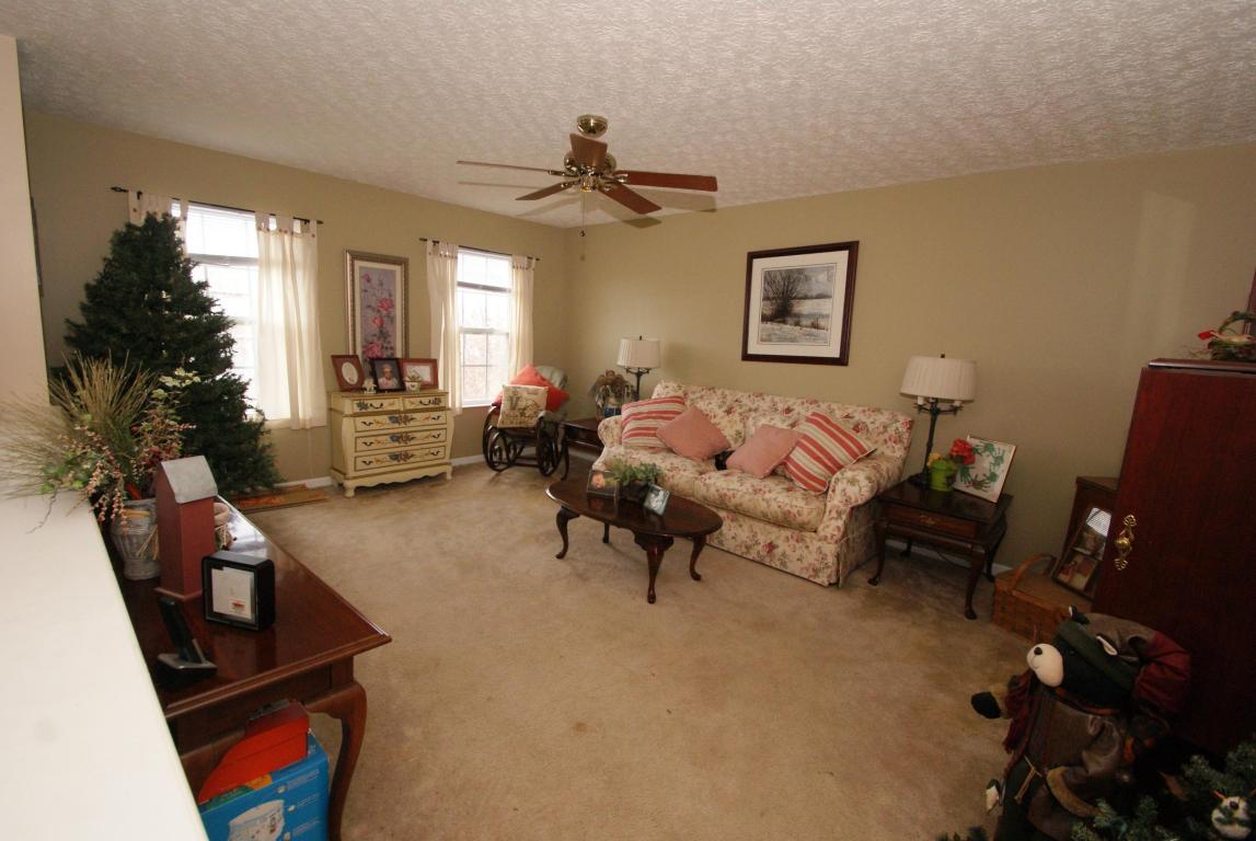 263 Heathermere Loop, Galena, OH 43021 photo 10