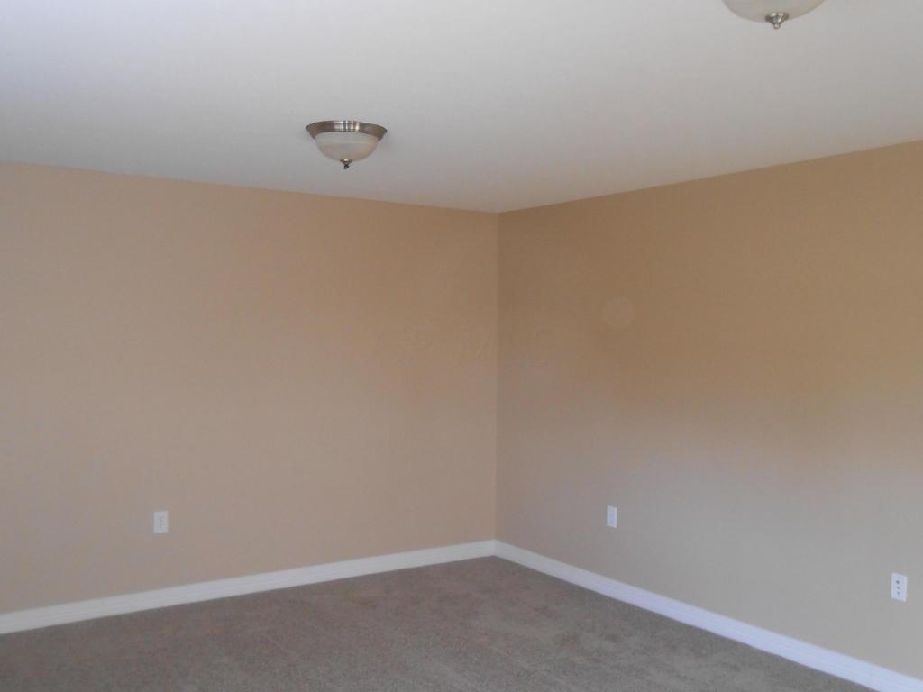227 Emerald Ice Loop, Delaware, OH 43015 photo 10