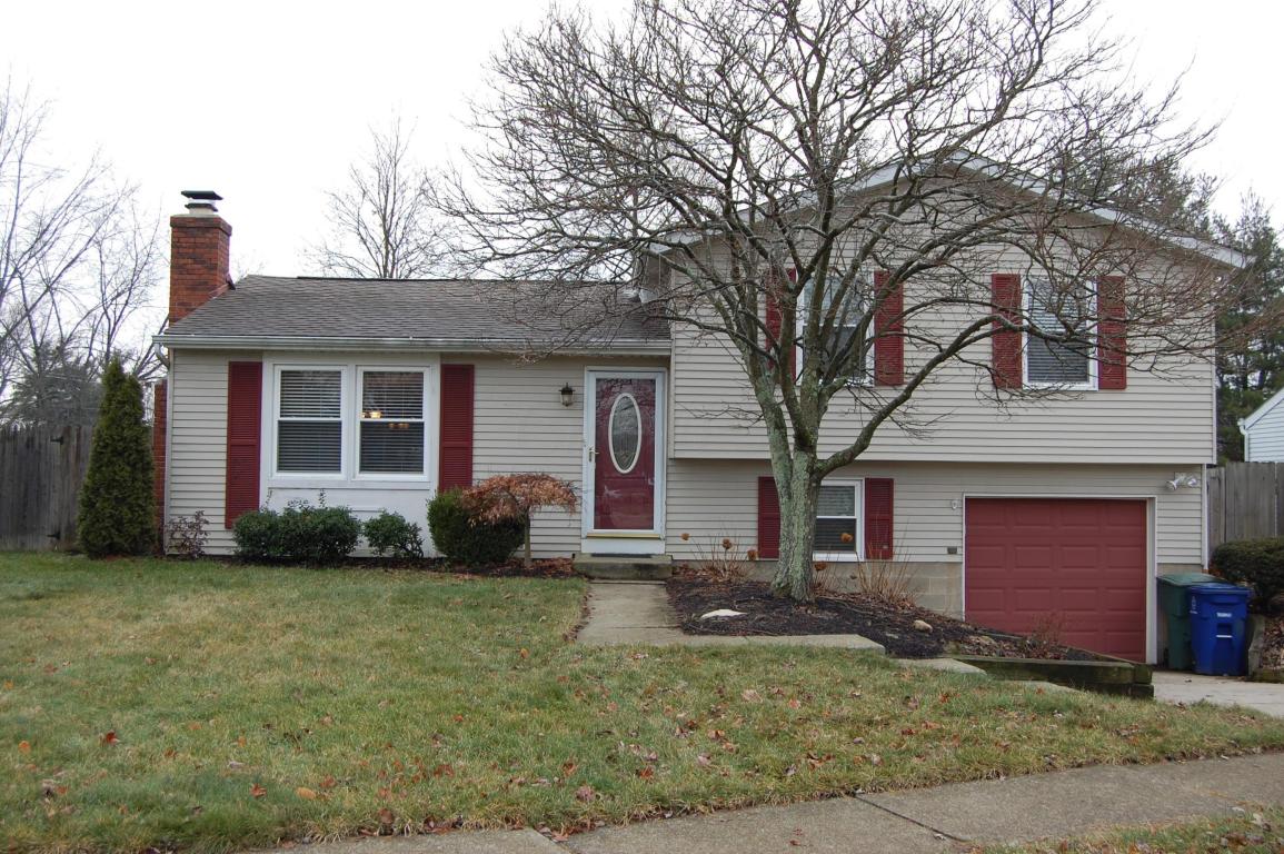 8651 Ripton Dr, Powell, OH 43065 photo 1
