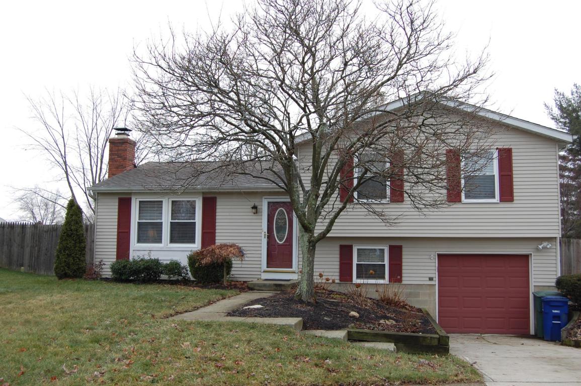 8651 Ripton Dr, Powell, OH 43065 photo 24