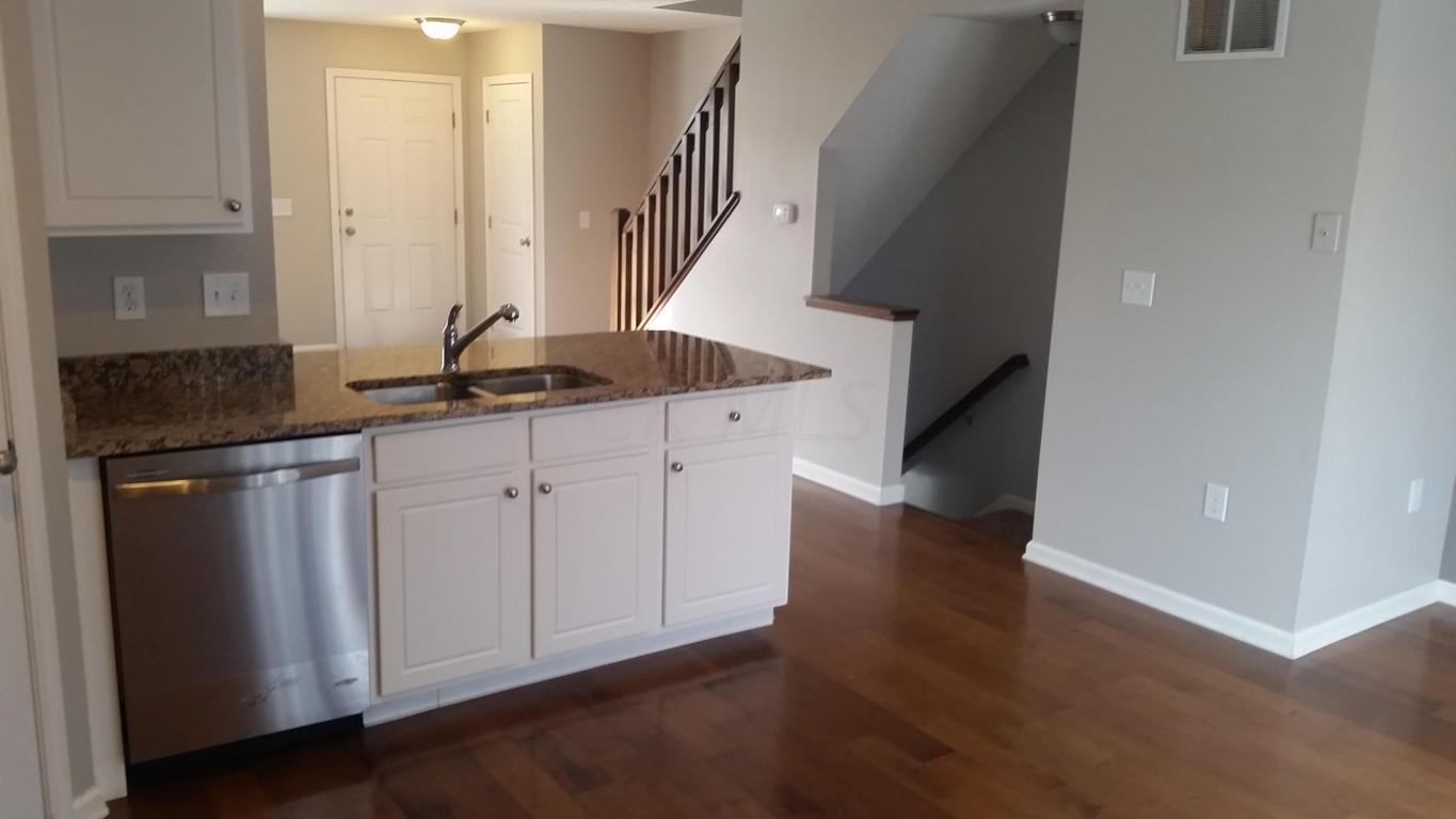 5328 Rustic Falls Dr, Dublin, OH 43016 photo 8