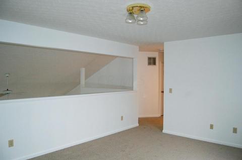 8520 Libra Rd, Dublin, OH 43016 photo 19