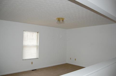 8520 Libra Rd, Dublin, OH 43016 photo 22
