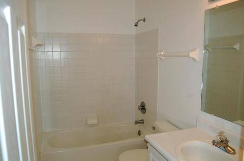 8520 Libra Rd, Dublin, OH 43016 photo 23